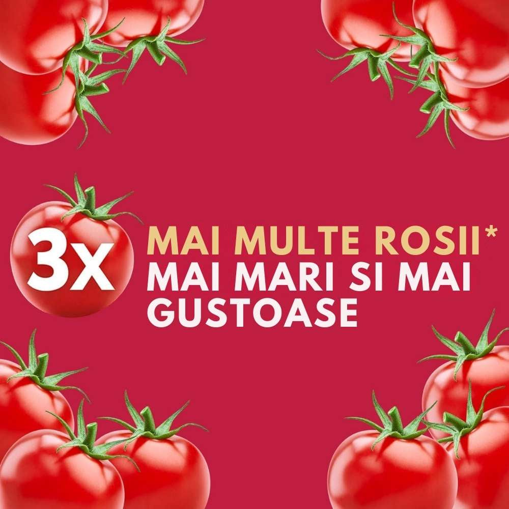 Ingrasamant lichid WESTLAND Big Tom pentru rosii, productie crescuta si gust intens, pana la 3 ori mai multe rosii, 1 l