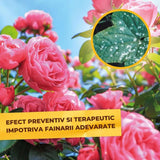 Spray fungicid SOLABIOL fara ciuperci, fainare si rapan, 750 ml