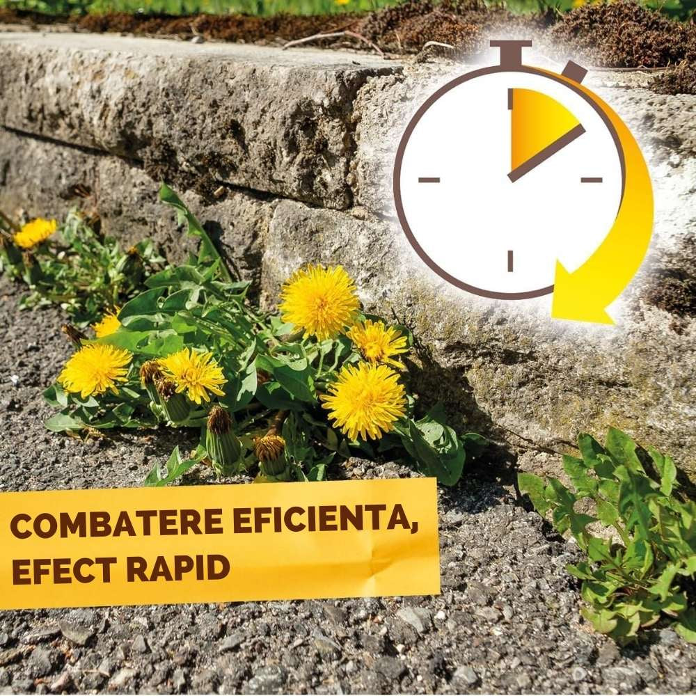 Spray Erbicid pentru combaterea buruienilor SOLABIOL pe baza de acetum, utilizare exterioara, 1 L