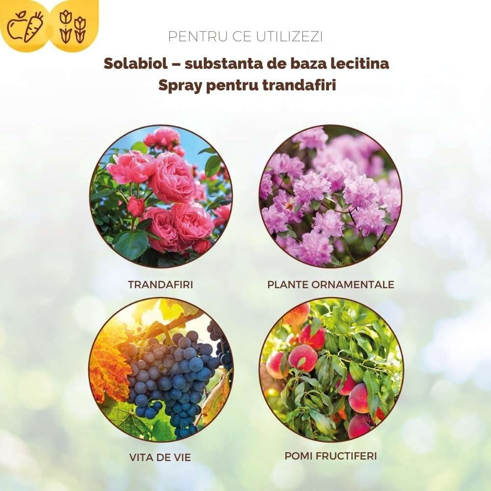 Spray Fungicid organic SOLABIOL cu lecitina pentru trandafiri, protectie naturala, 1 L