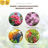 Spray Fungicid organic SOLABIOL cu lecitina pentru trandafiri, protectie naturala, 1 L