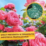 Spray Fungicid organic SOLABIOL cu lecitina pentru trandafiri, protectie naturala, 1 L