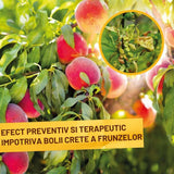 Spray Fungicid organic SOLABIOL cu lecitina pentru trandafiri, protectie naturala, 1 L