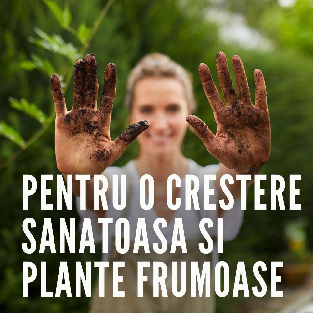 Pamant organic COMPO pentru semanat si plante aromatice, fara turba, substrat pentru rasaduri si butasi, 20 l