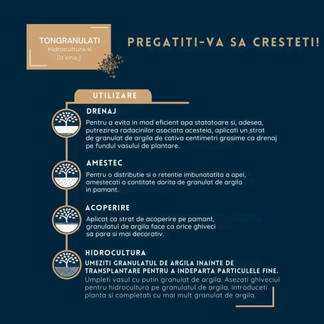 Granule argila WESTLAND pentru plante la ghiveci, drenaj si hidroponie, 6 l
