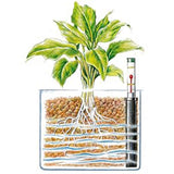 Granule argila WESTLAND pentru plante la ghiveci, drenaj si hidroponie, 6 l