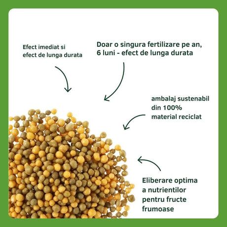 Ingrasamant granulat SUBSTRAL pentru plante mediteraneene si citrice, 1.2 kg, efect imediat si 6 luni eliberare lenta