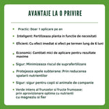 Ingrasamant granulat SUBSTRAL pentru plante mediteraneene si citrice, 1.2 kg, efect imediat si 6 luni eliberare lenta