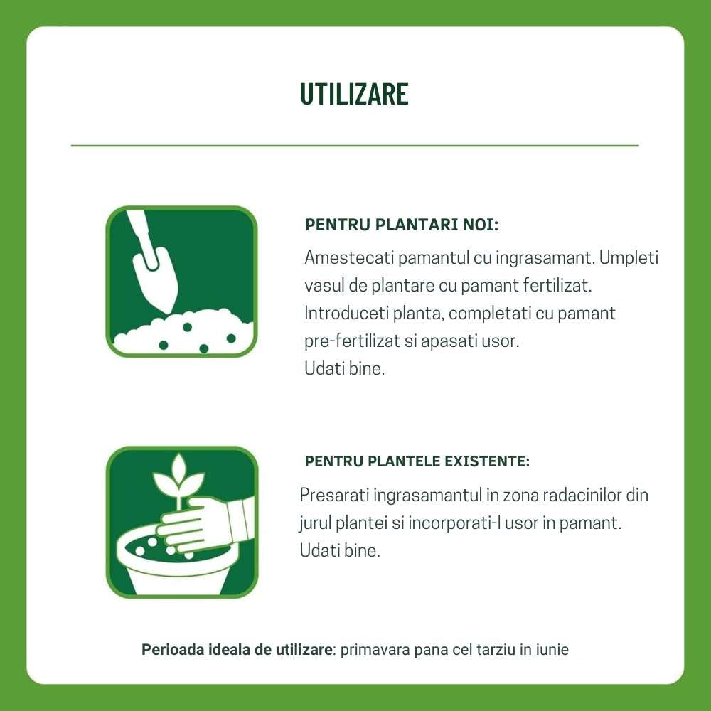 Ingrasamant granulat SUBSTRAL pentru plante mediteraneene si citrice, 1.2 kg, efect imediat si 6 luni eliberare lenta