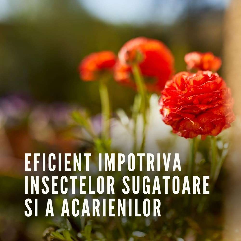Spray Insecticid pentru Plante Verzi si Infloritoare, 750 ml, Protectie Completa, COMPO