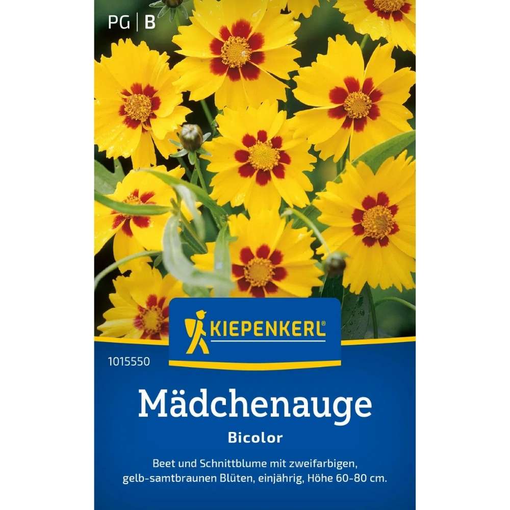Seminte de ochiul-fetii – varietate Bicolor, flori perene, ajunge pentru 150 Plante