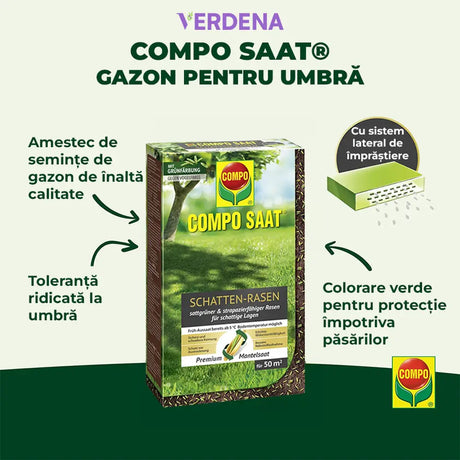 Compo seminte gazon pentru umbra densa, 1 kg pentru 50 mp – amestec profesional pentru zone umbrite si insorite