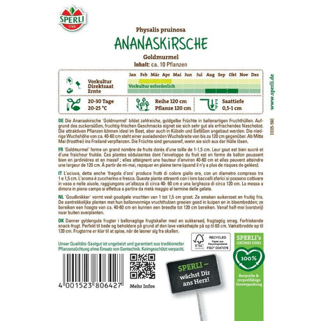 Seminte de physalis ananas Gold Marble – fructe aromate si decorative, ajunge pentru 10 Plante