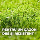 Seminte gazon Compo reparare completa mix 4 kg pentru 20 mp cu substrat si ingrasamant inclus
