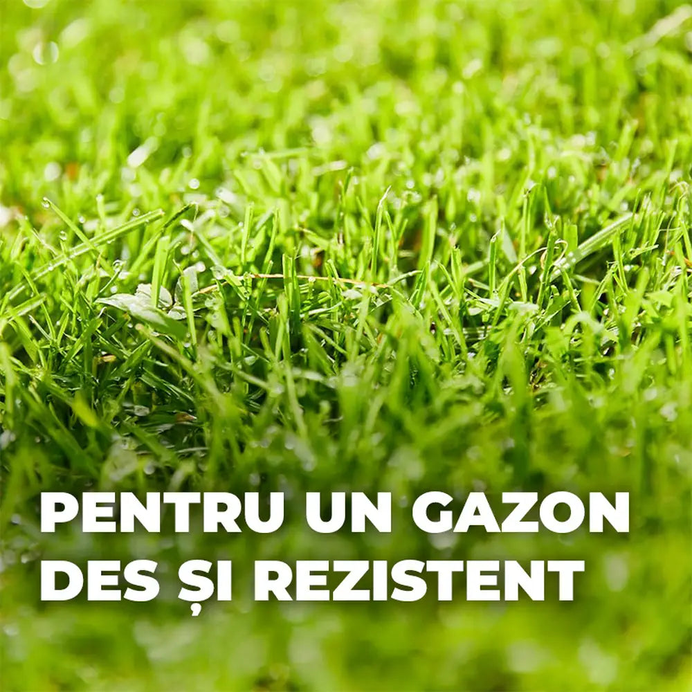 Compo mix complet regenerare gazon, 1.2 kg pentru 6 mp – amestec seminte, substrat si ingrasamant