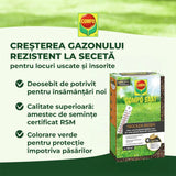 Compo seminte gazon rezistent la seceta si caldura 2 kg pentru 80 mp, amestec profesional pentru zone insorite si uscate