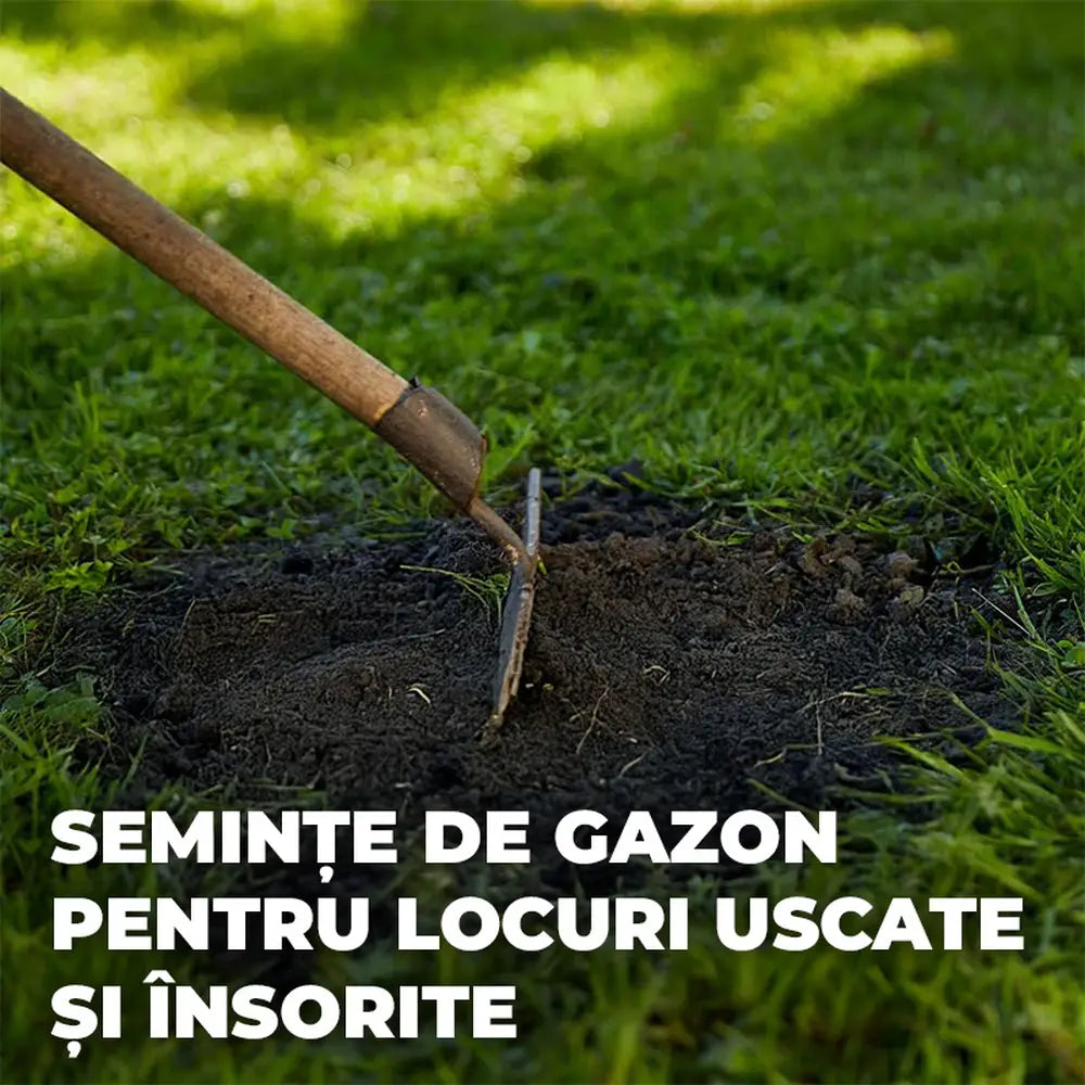 Compo seminte gazon rezistent la seceta si caldura 2 kg pentru 80 mp, amestec profesional pentru zone insorite si uscate