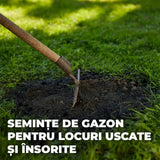 Compo seminte gazon rezistent la seceta si caldura 2 kg pentru 80 mp, amestec profesional pentru zone insorite si uscate