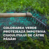 Compo seminte gazon rezistent trafic intens 2 kg pentru 100 mp – amestec profesional pentru gazon de sport si joaca