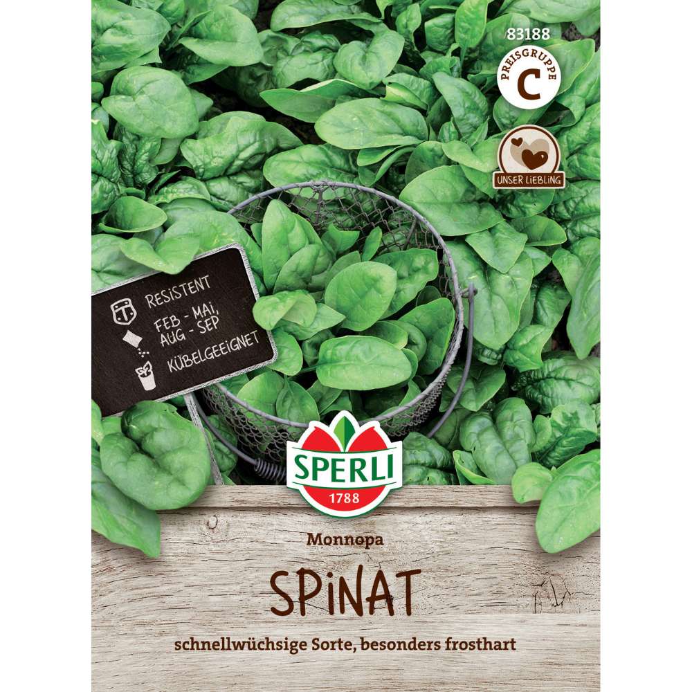 Seminte spanac Monnopa – varietate robusta pentru toamna