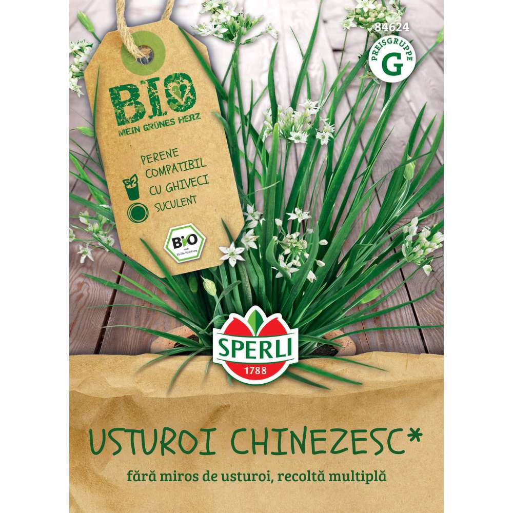 Seminte BIO usturoi chinezesc – ideal pentru salate si aromatizare