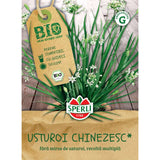 Seminte BIO usturoi chinezesc – ideal pentru salate si aromatizare