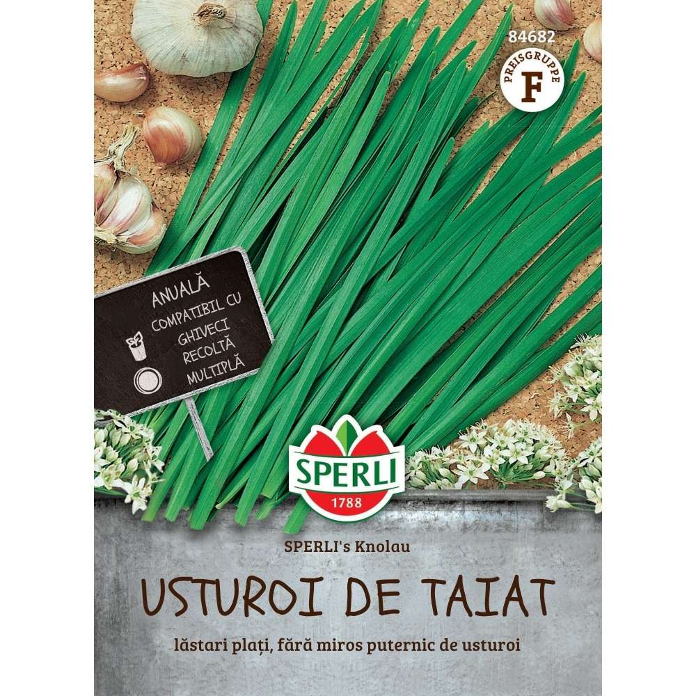 Seminte usturoi de taiat SPERLI Knolau – gust aromat si usor de crescut