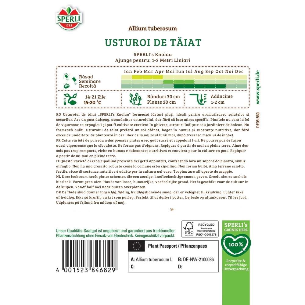 Seminte usturoi de taiat SPERLI Knolau – gust aromat si usor de crescut