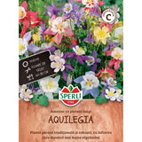 Seminte aquilegia mix – flori elegante, cu pinteni lungi