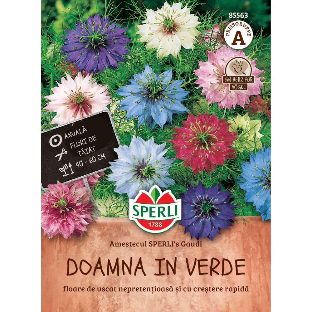 Seminte nigella SPERLI Gaudi – flori delicate, albastru intens