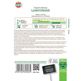 Seminte floare lampion Mikie's Laterne – decorativa si de efect