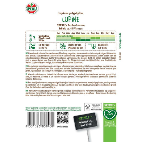 Seminte lupin SPERLI Zauberkerzen – flori bogate si colorate