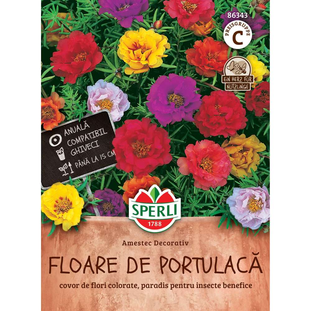 Seminte Flori de Piatra (Portulaca) mix – flori suculente pentru spatii insorite