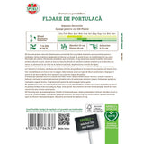 Seminte Flori de Piatra (Portulaca) mix – flori suculente pentru spatii insorite