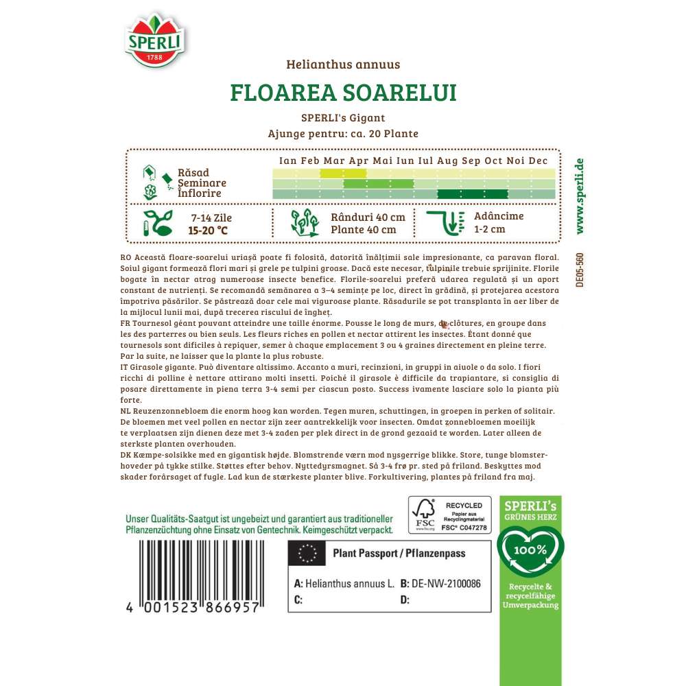 Seminte floarea soarelui gigant SPERLI – plante inalte si decorative