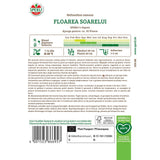 Seminte floarea soarelui gigant SPERLI – plante inalte si decorative