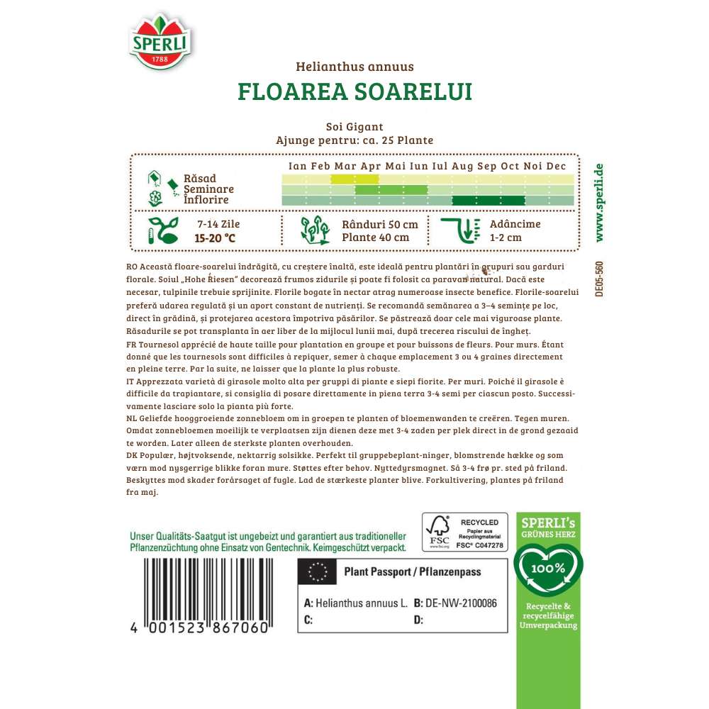 Seminte floarea soarelui Hohe Riesen – crestere spectaculoasa