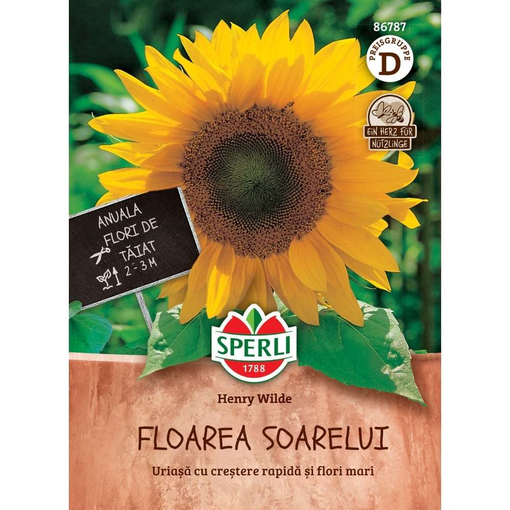 Seminte floarea soarelui Henry Wilde – flori mari, galbene si stralucitoare