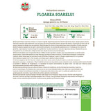 Seminte floarea soarelui Henry Wilde – flori mari, galbene si stralucitoare