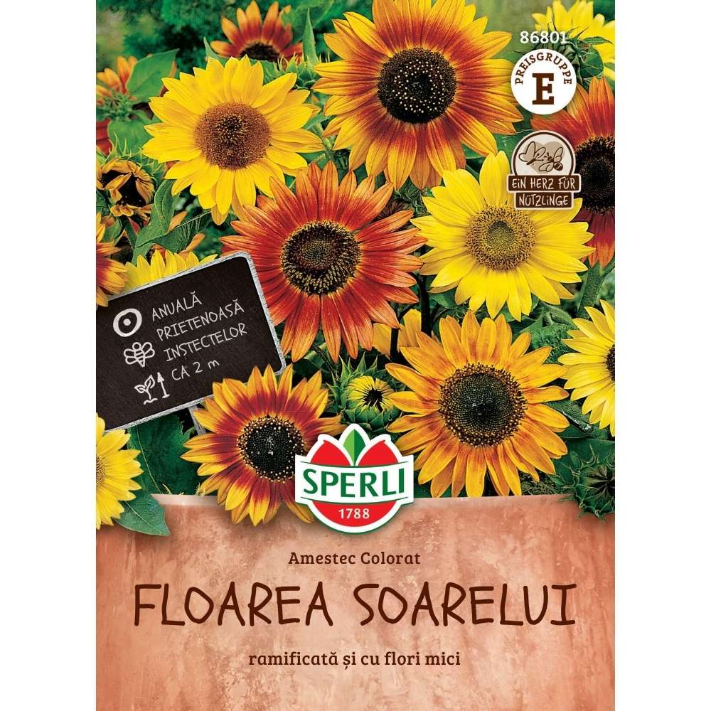 Seminte floarea soarelui mix colorat – efect vizual in gradina