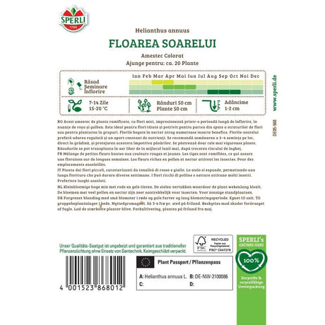 Seminte floarea soarelui mix colorat – efect vizual in gradina