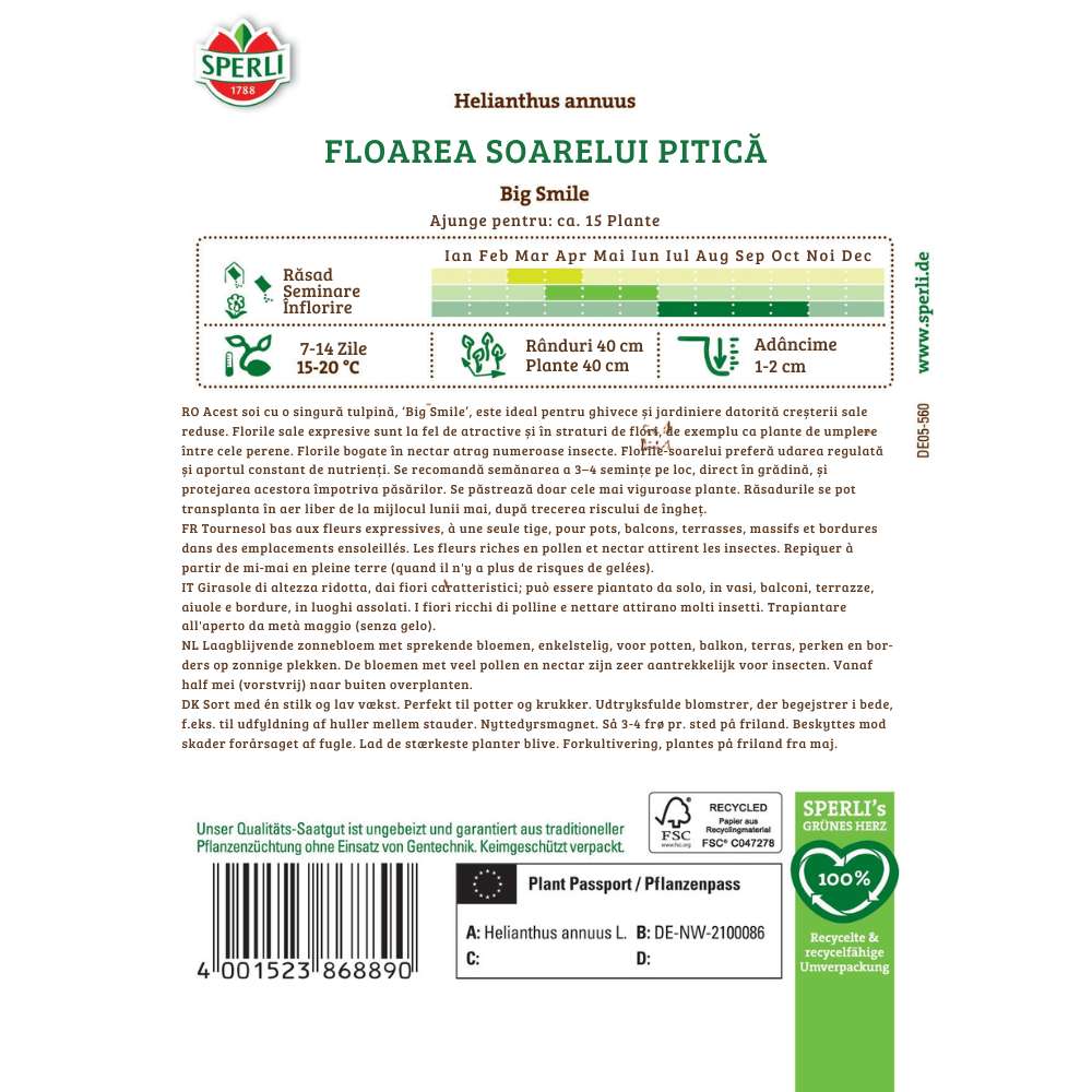 Seminte floarea soarelui de ghiveci Big Smile – dimensiune compacta