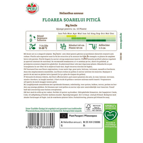 Seminte floarea soarelui de ghiveci Big Smile – dimensiune compacta