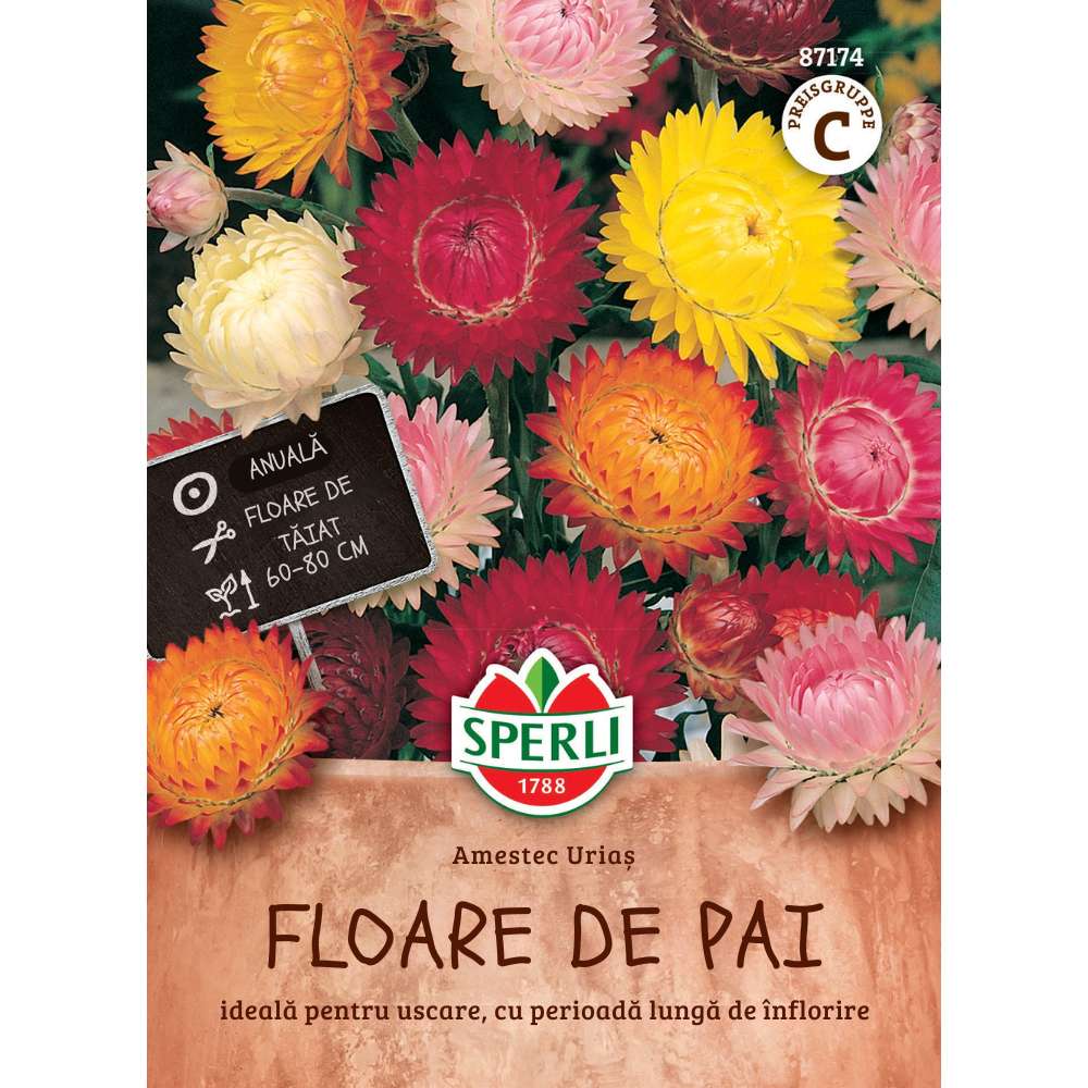 Seminte flori uscate Koloss – colorate si perfecte pentru buchete