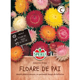 Seminte flori uscate Koloss – colorate si perfecte pentru buchete