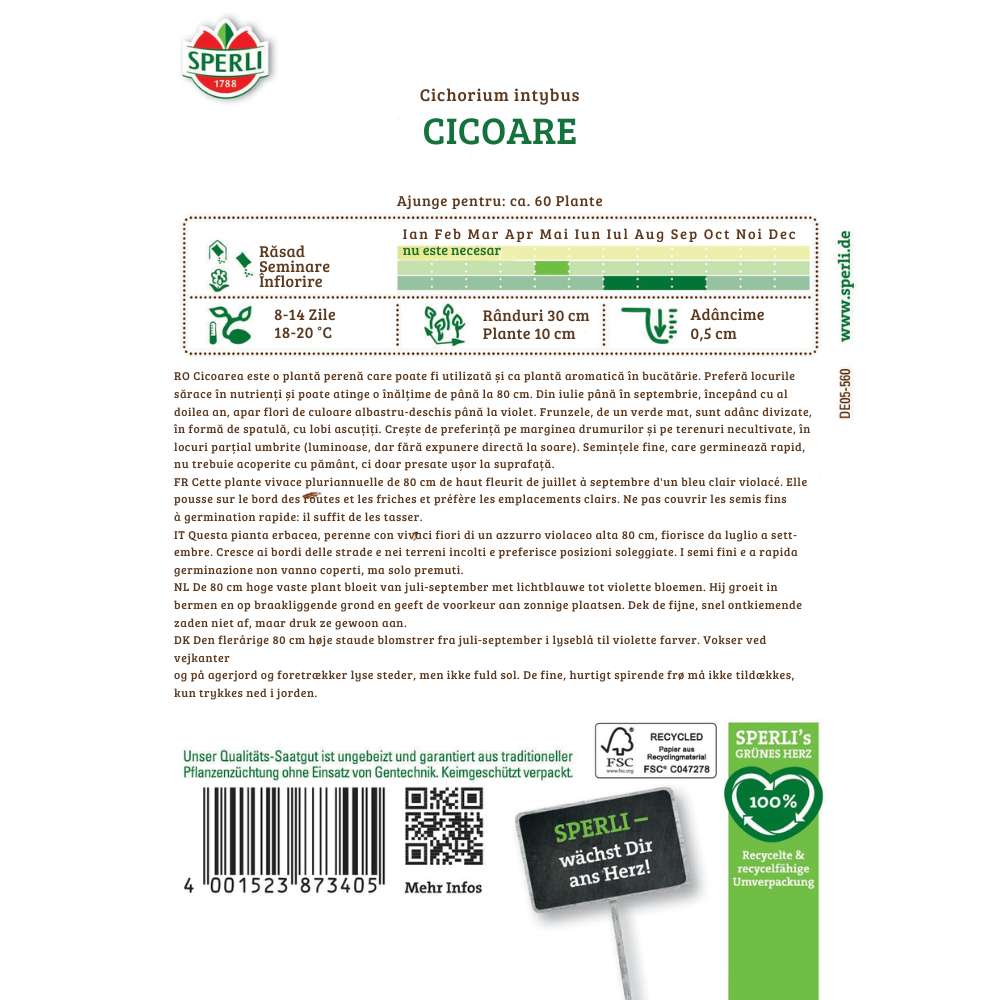 Seminte cicoare salbatica – planta rustica si medicinala, 1 Bucata