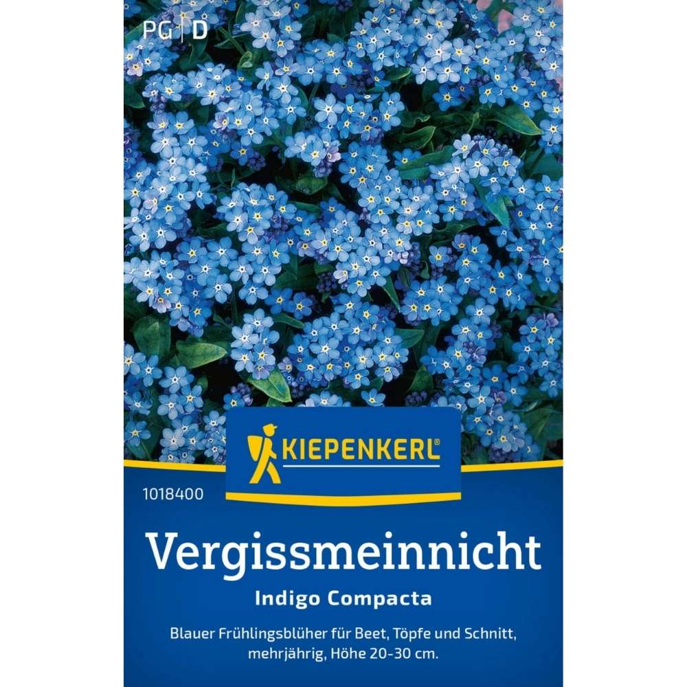 Seminte de nu-ma-uita Indigo Compacta – flori albastre compacte, ajunge pentru 80 Plante