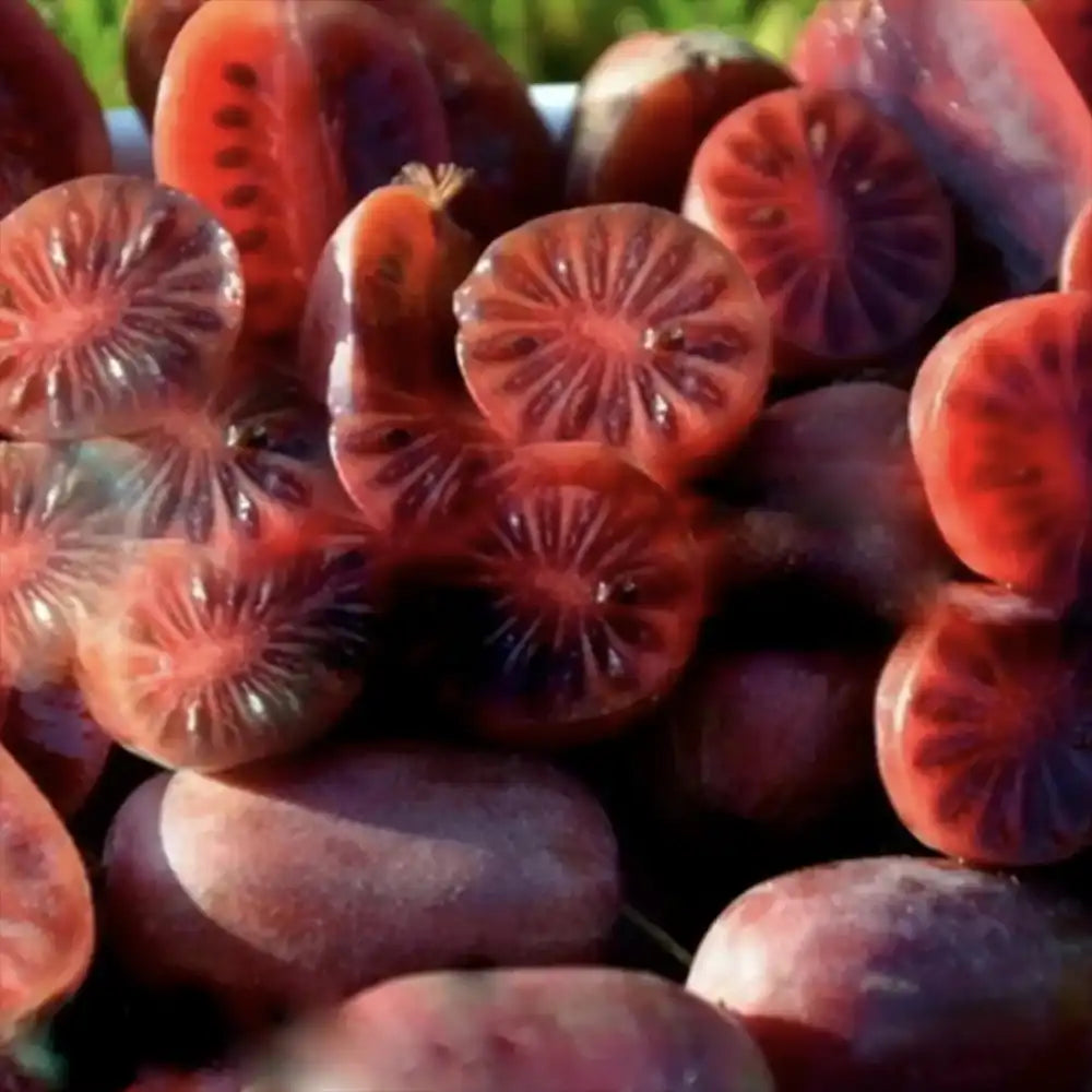 Kiwi de Siberia Geneva (Actinidia arguta), autofertil, cu fructe dulci rosii parfumate, bogate in vitamina C