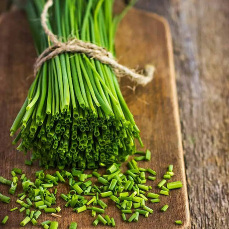 Usturoi chinezesc (Allium tuberosum), planta aromatica perena,  frunze comestibile si flori decorative