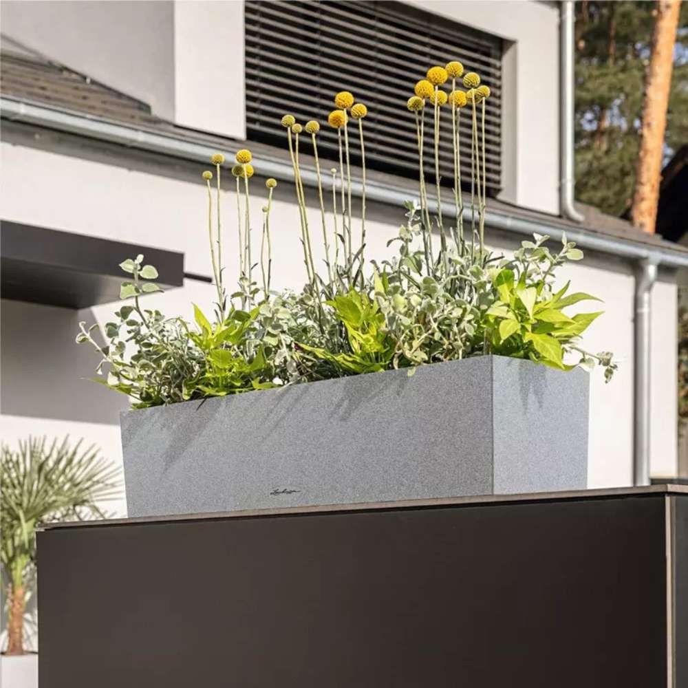 Ghiveci Auto-Irigant Lechuza Balconera Stone 80, 12 l, cu efect de piatra gri, sistem de autoirigare, insert detasabil, strat de drenaj